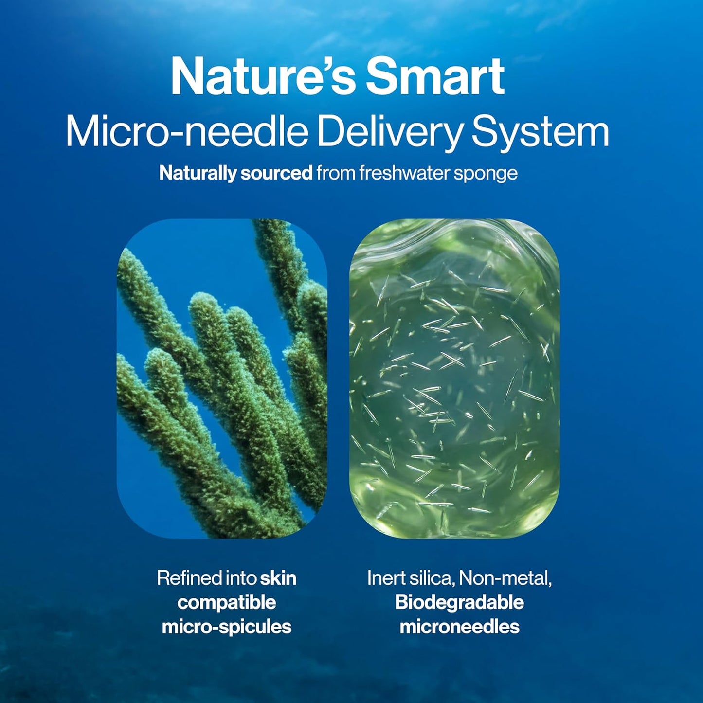 Advanced Hair Density Roll-On Serum 25 Ml | 5% Saw Palmetto, 3% Rosemary, 1% Caffeine Herbasome & 3% Fenugreek | Scalp Serum for Reduced Hair Fall | Men & Women